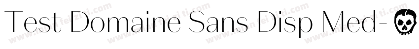 Test Domaine Sans Disp Med字体转换